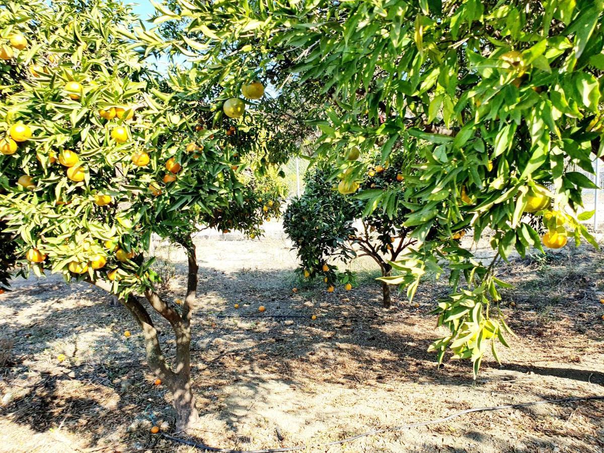 Casa Rural - Serrano House Málaga Buitenkant foto